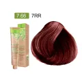 Boje JJ - FASHION - 7.66 7RR