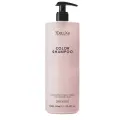 3Deluxe color shampo 1000ml